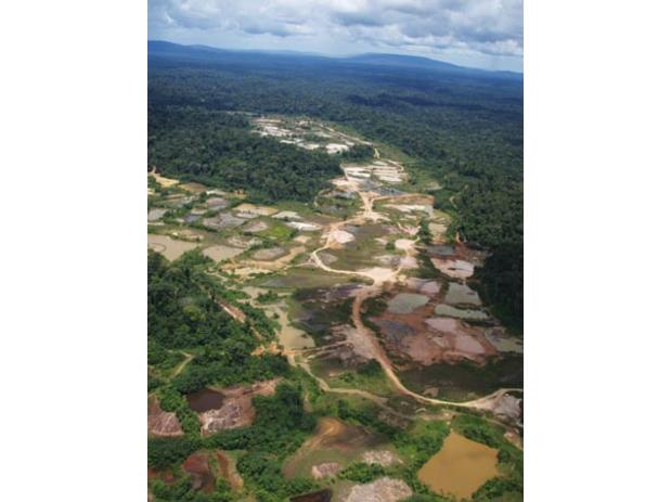Impact de l'orpaillage