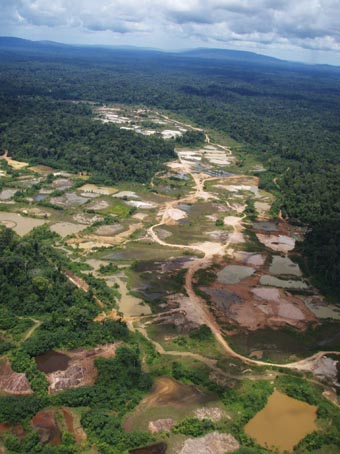 Orpaillage Guyane Cacao