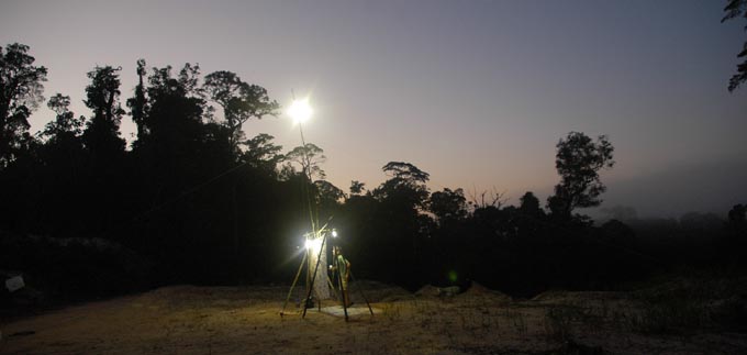 Piège lumineux Montagne des Chevaux (MCV)
