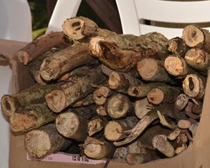 Fagot de bois Martinique
