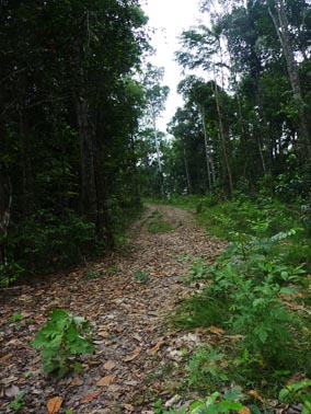 sentier de crête mt Chevaux