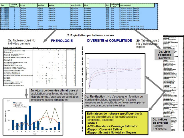 Schéma d'analyse SEAG