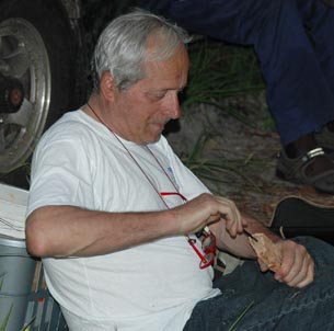 Gianfranco Sama, Zambie, 2008, larves