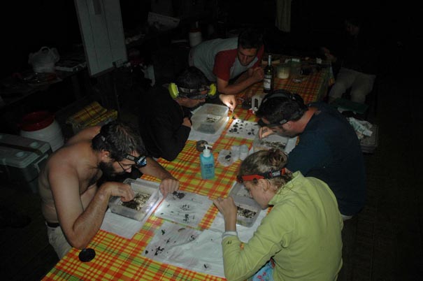 Trie pièges vitre FIT Nouragues