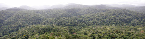 Panorama à l'arrivée sur la mont Itoupé