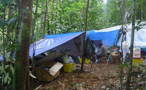 Campement SEAG, Itoupé 2010