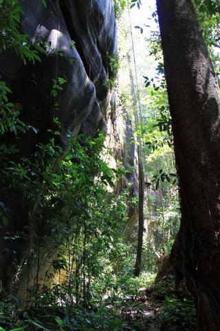 Sous-Bois (Roche Bénitier)